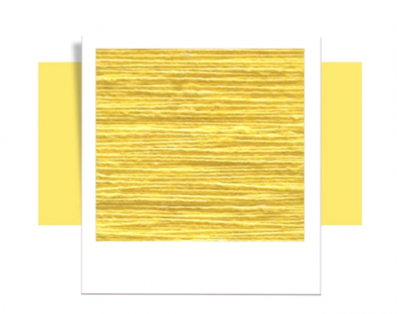 Canary Yelllow1